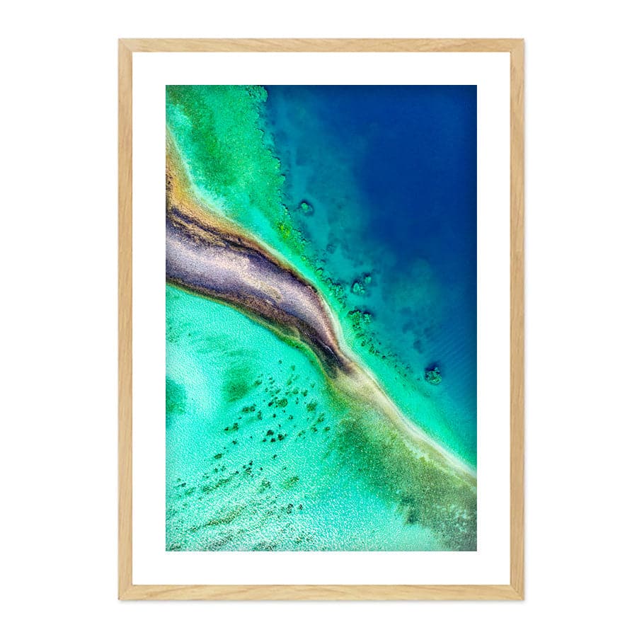 Reef Coral by Serge Melesan