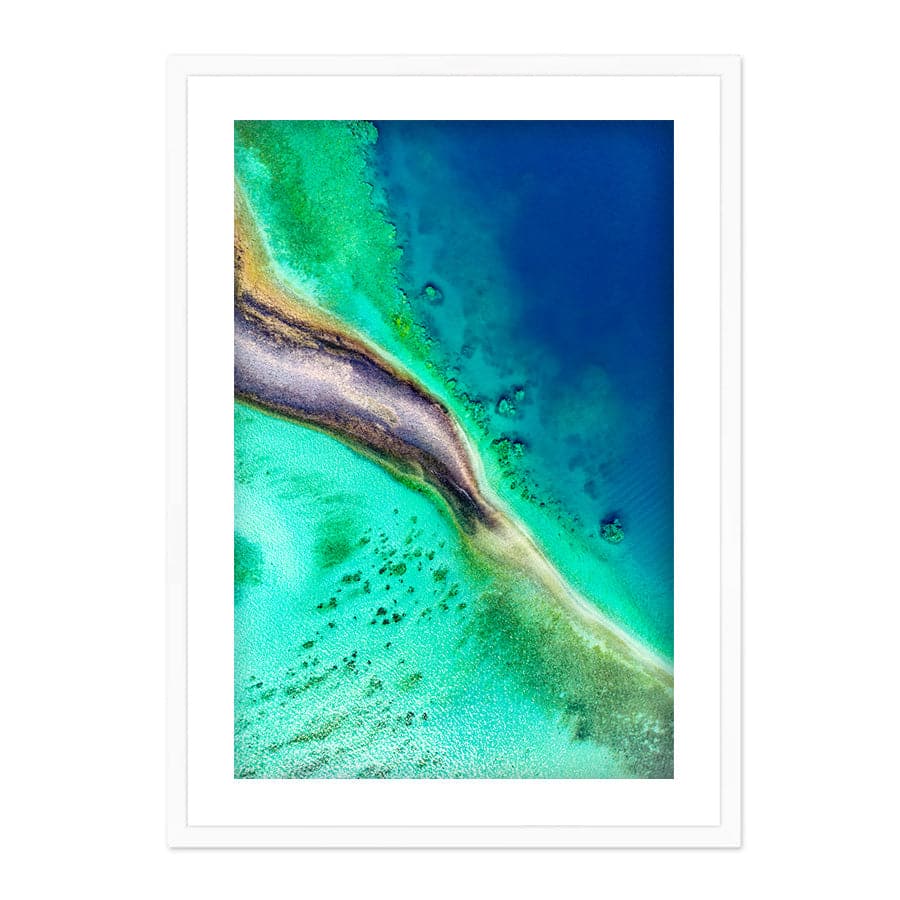 Reef Coral by Serge Melesan