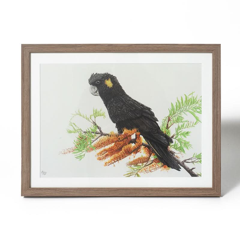 YTBC Flowers by Mollie Lennon (Fine Art Print with Brown Frame)