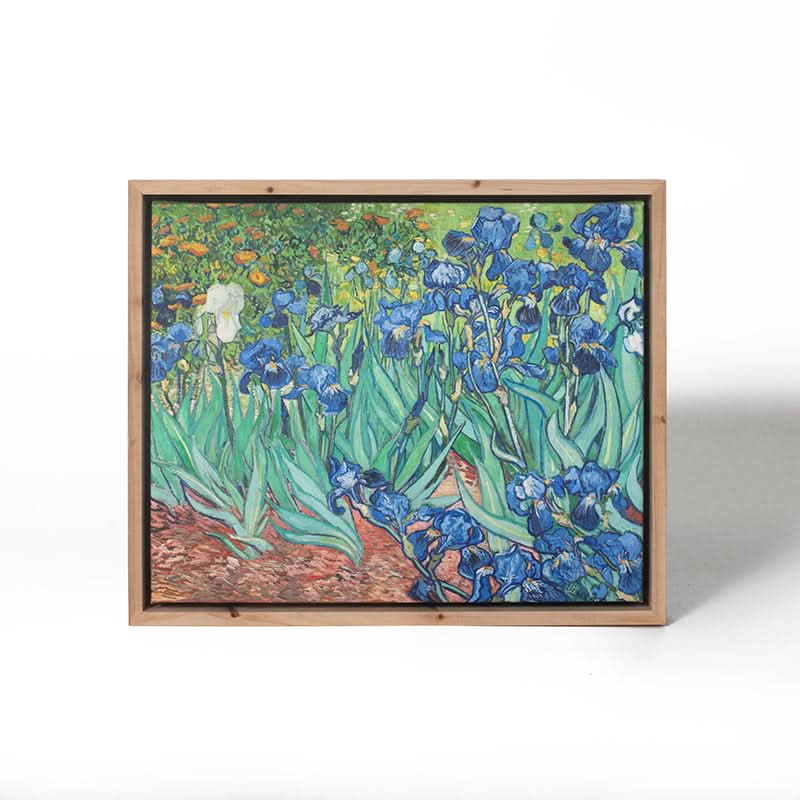 Irises by Vincent Van Gogh (Canvas Print with Float Frame)