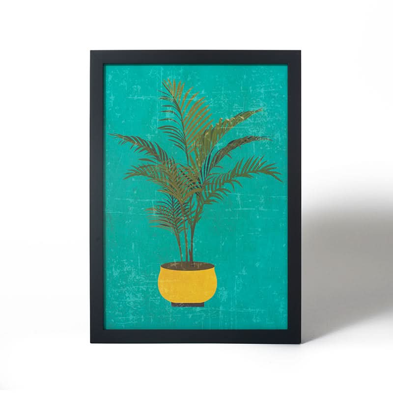Areca Plant by John Downer (Canvas Print with Black Box Frame)