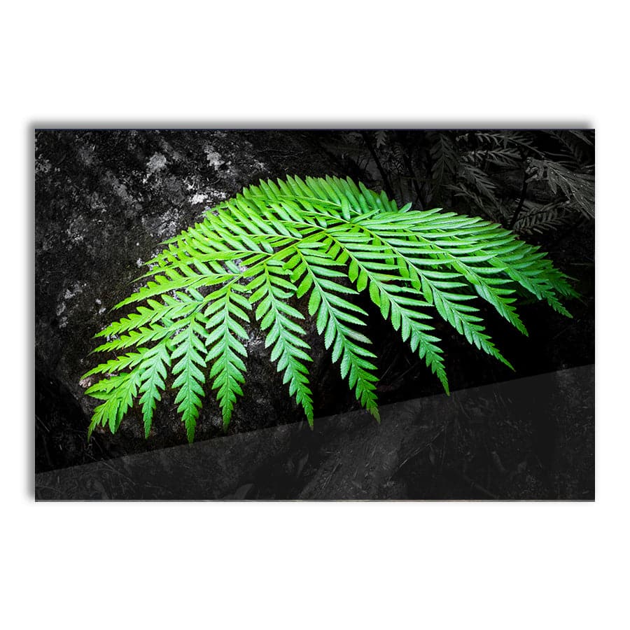 Touch of Green by Troy Sinclair