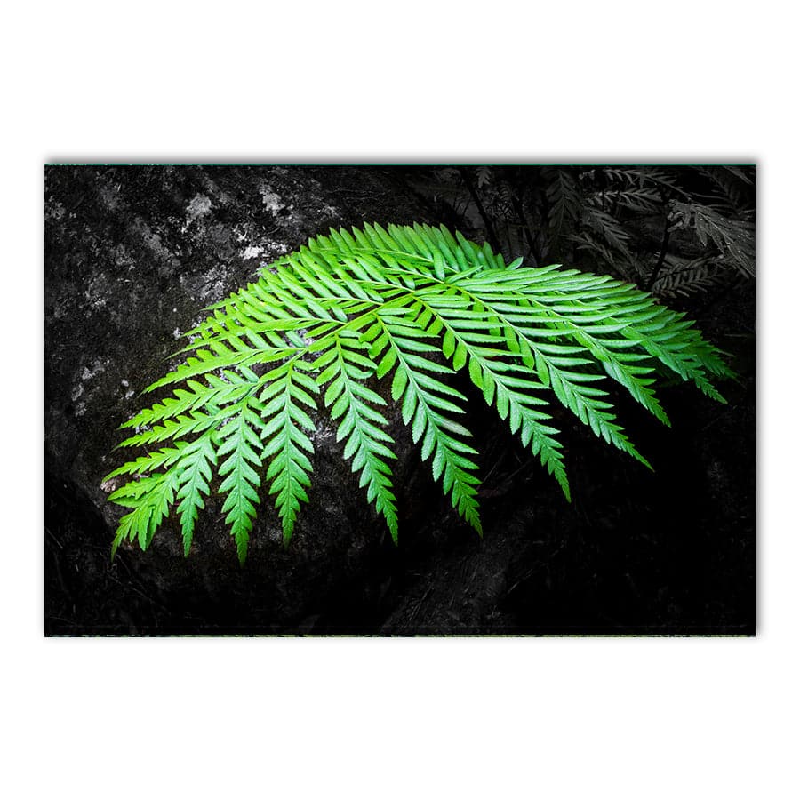 Touch of Green by Troy Sinclair