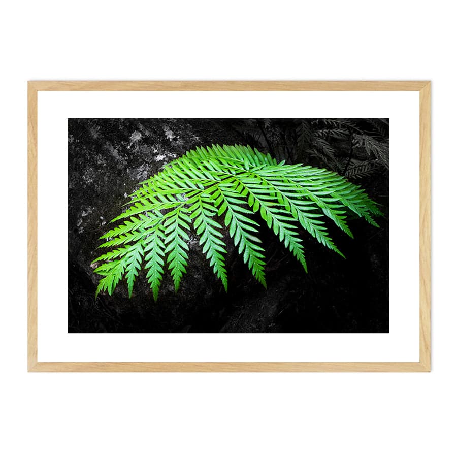 Touch of Green by Troy Sinclair
