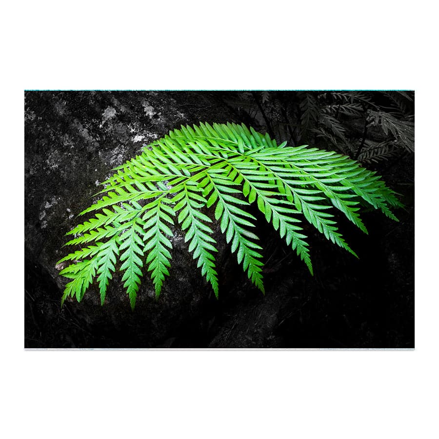 Touch of Green by Troy Sinclair