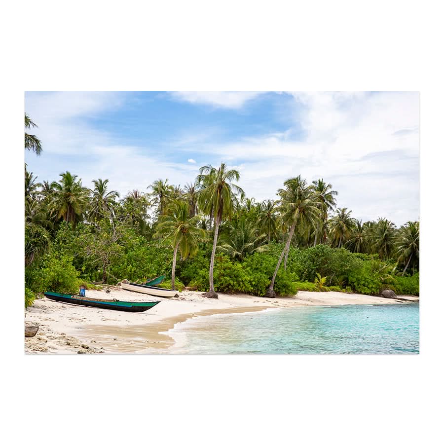 Tropical Hideaway by Stuart McAndrew