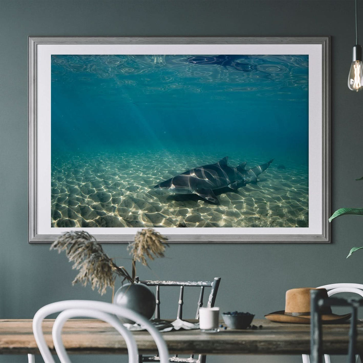 Underwater Rays by Stuart McAndrew