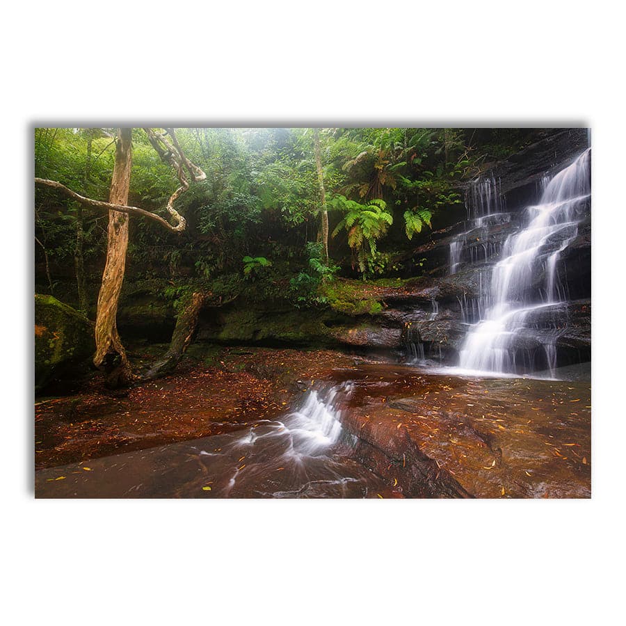 Somersby Falls 1 by Steve Daggar