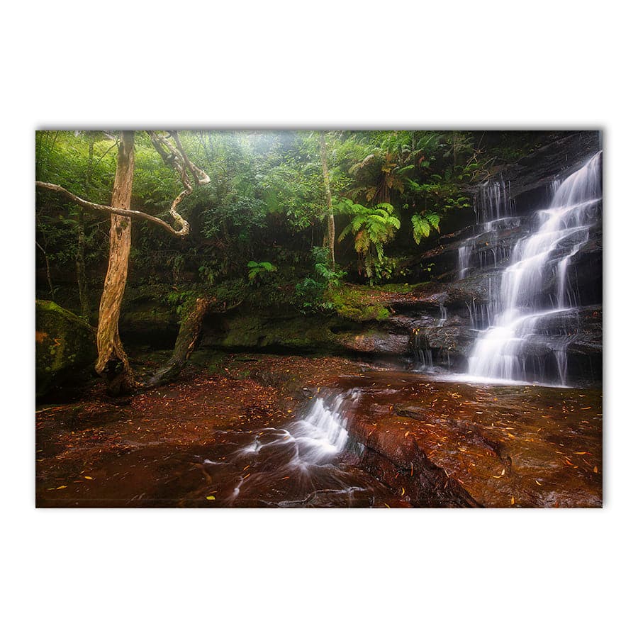 Somersby Falls 1 by Steve Daggar