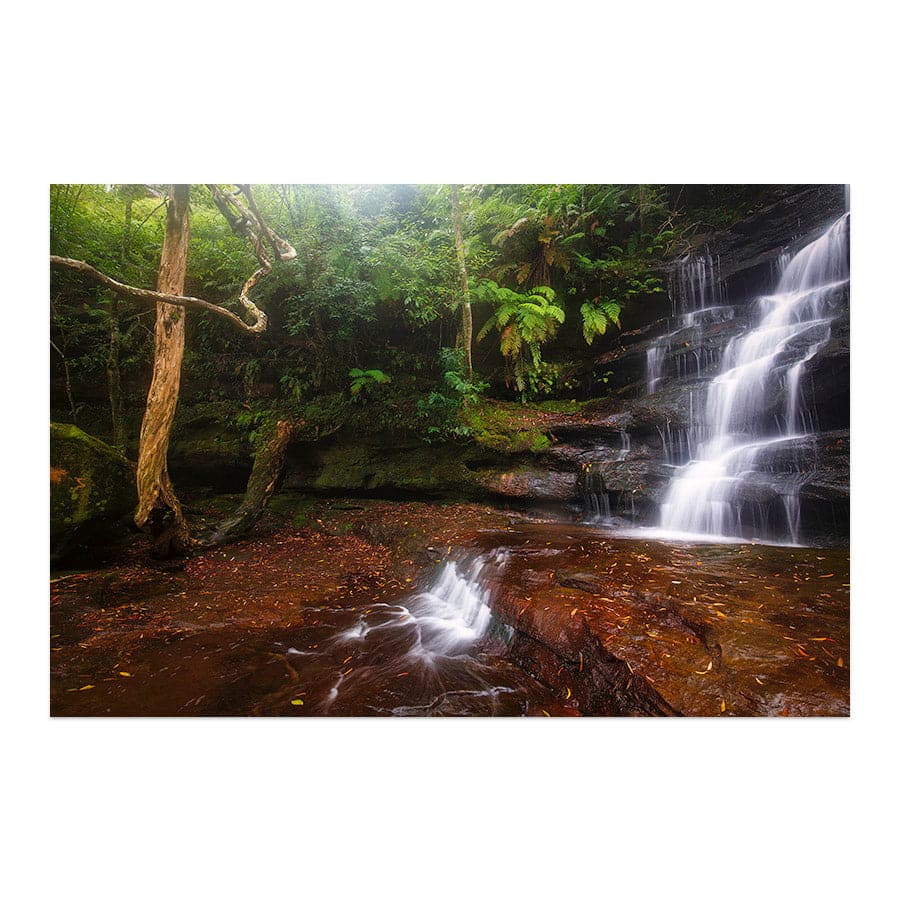 Somersby Falls 1 by Steve Daggar