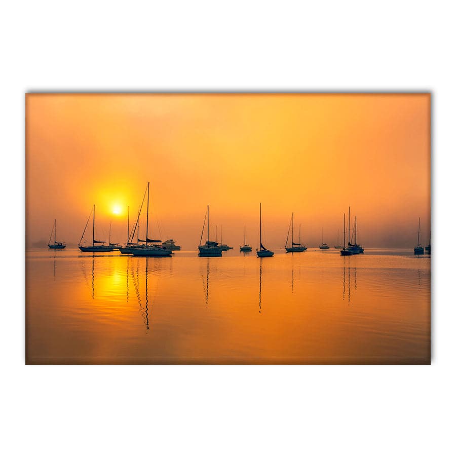 Woy Woy Boats by Steve Daggar