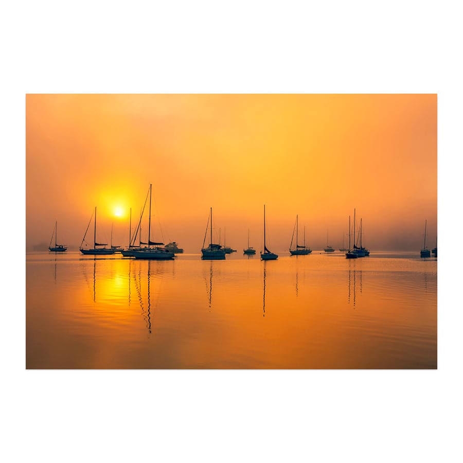 Woy Woy Boats by Steve Daggar