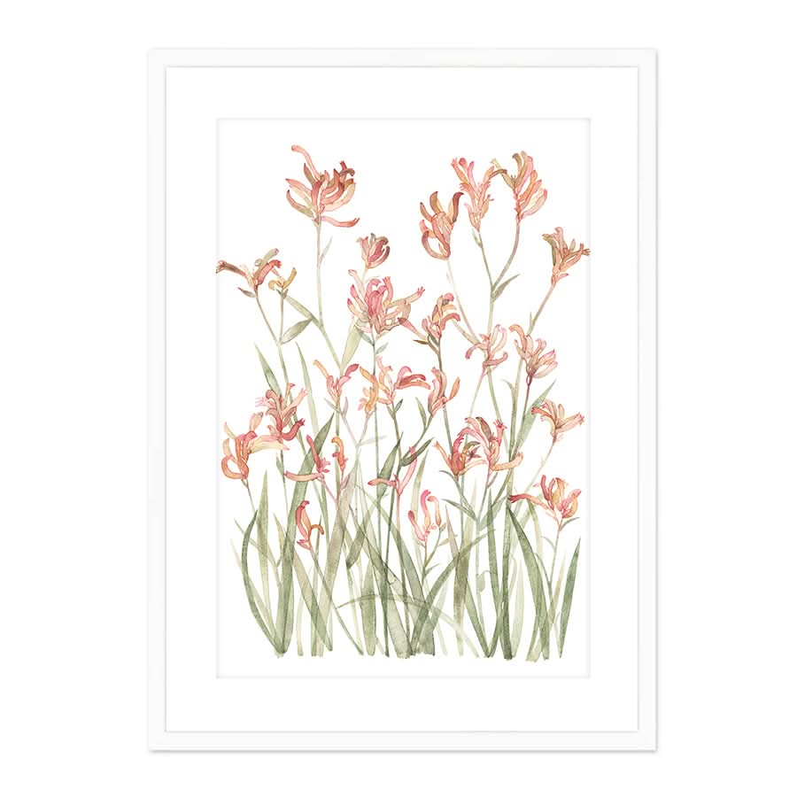 Kangaroo Paw Sunset by Natalie Ryan