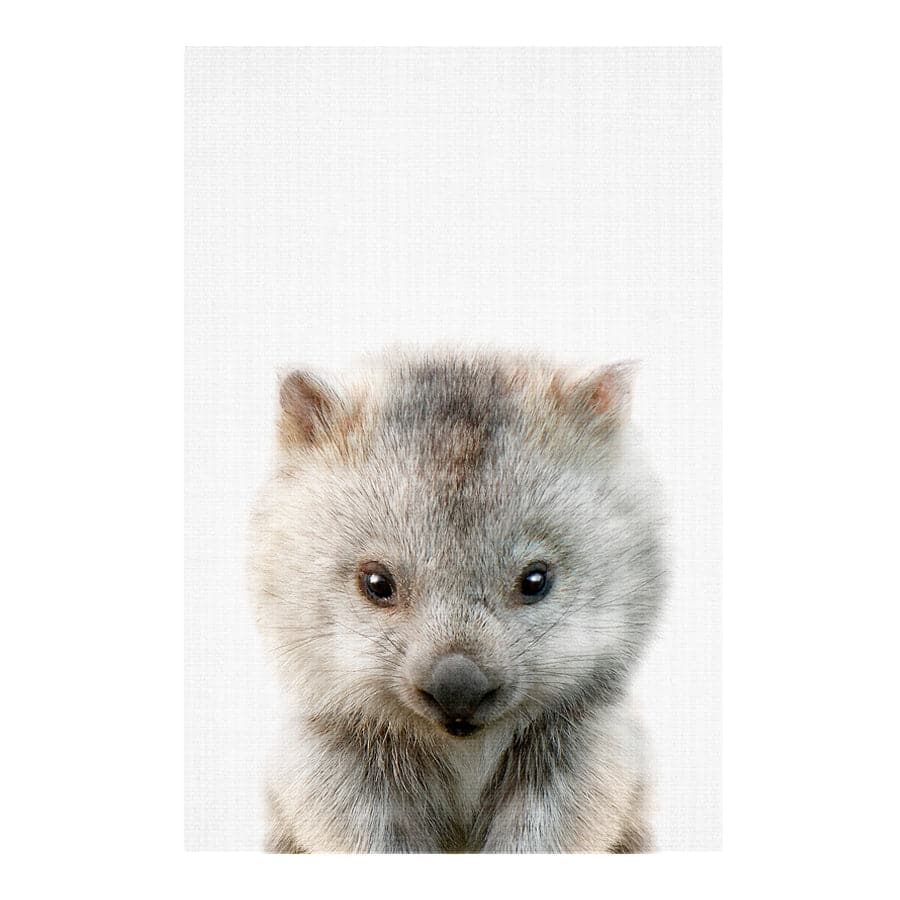 Peekaboo Wombat by Lola Peacock