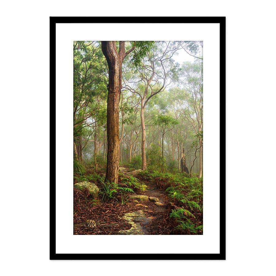 Kincumber Mountain 2 by Jason O'Brien