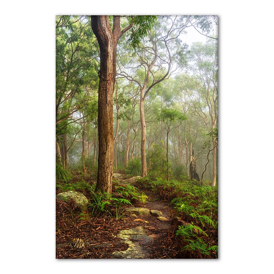 Kincumber Mountain 2 by Jason O'Brien