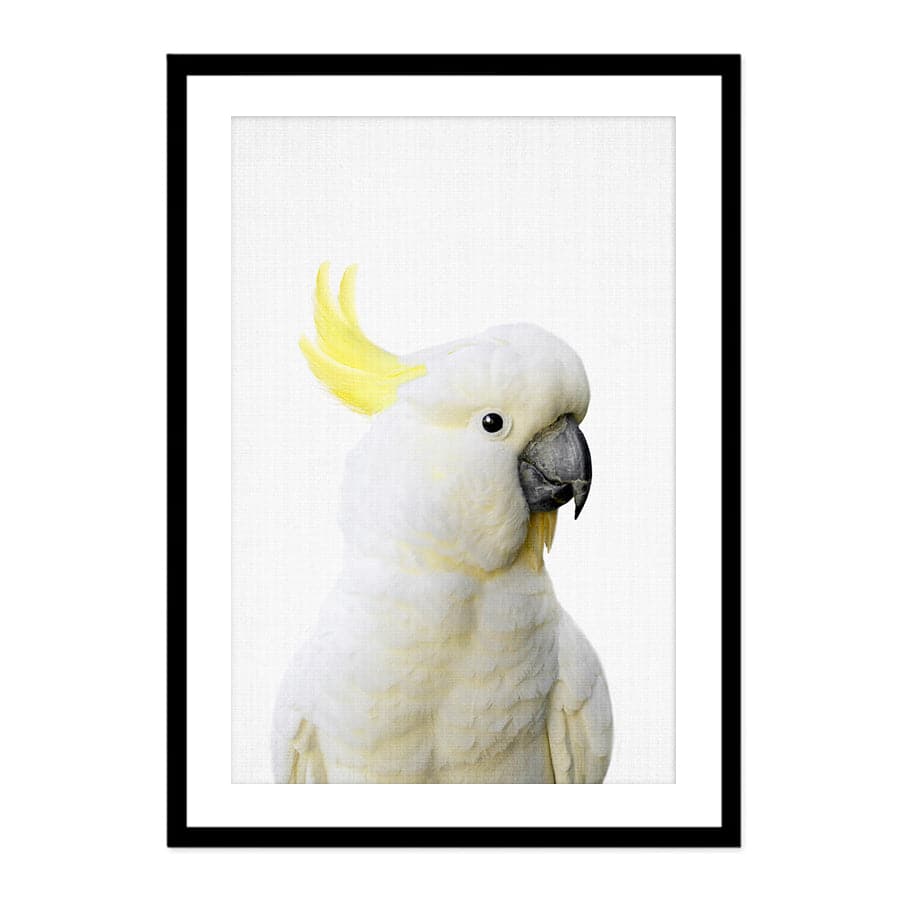 Peekaboo Cockatoo by Lola Peacock