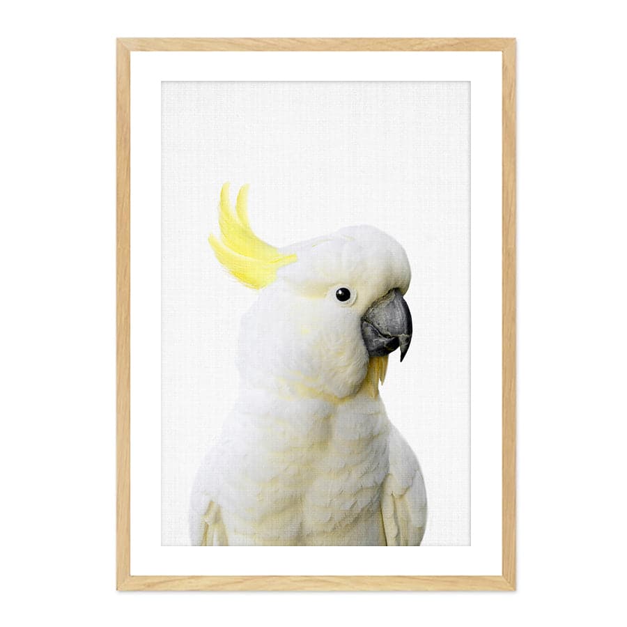 Peekaboo Cockatoo by Lola Peacock