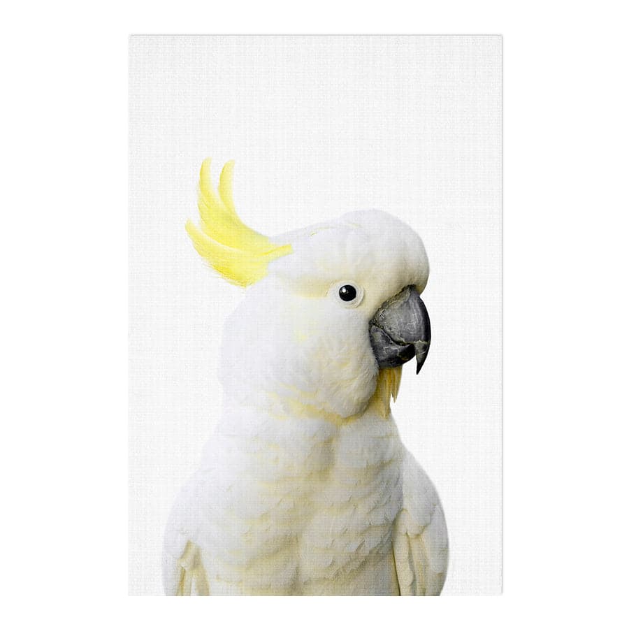 Peekaboo Cockatoo by Lola Peacock