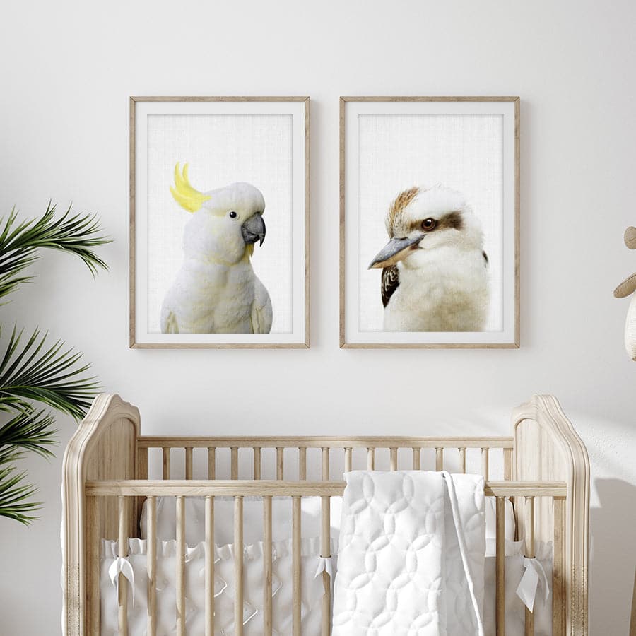 Peekaboo Cockatoo by Lola Peacock