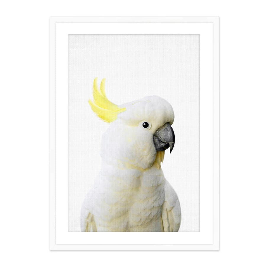 Peekaboo Cockatoo by Lola Peacock