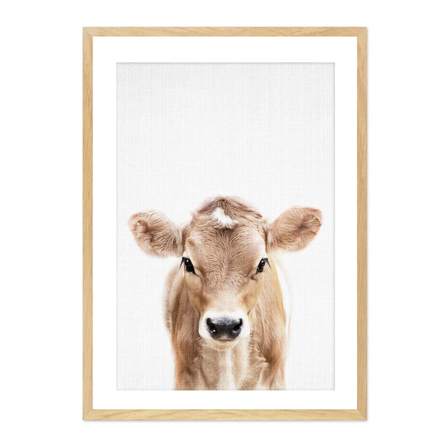Peekaboo Cow by Lola Peacock