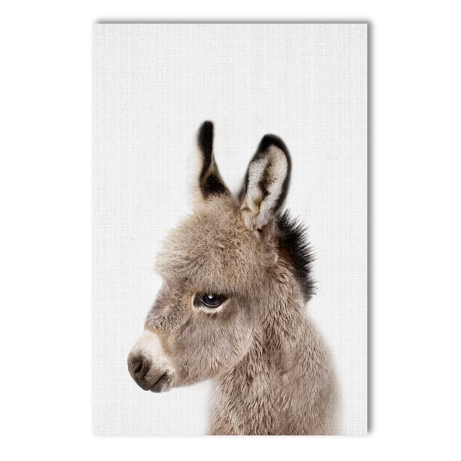 Peekaboo Donkey by Lola Peacock