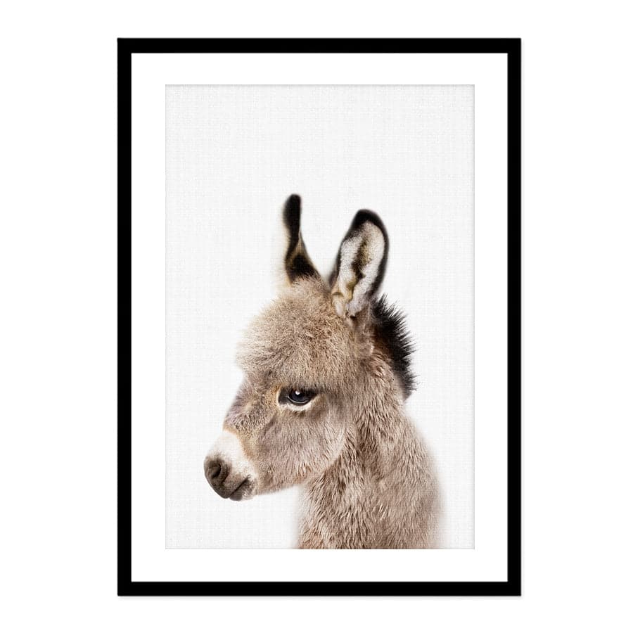 Peekaboo Donkey by Lola Peacock