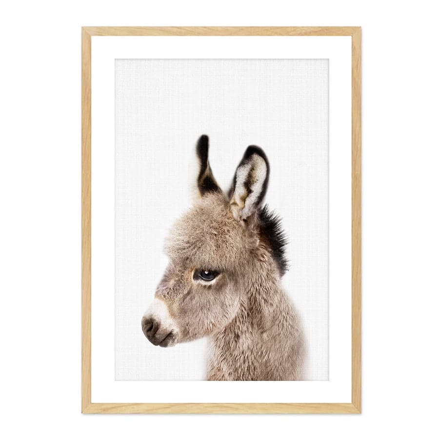 Peekaboo Donkey by Lola Peacock