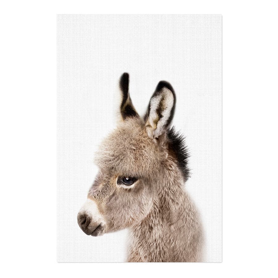 Peekaboo Donkey by Lola Peacock