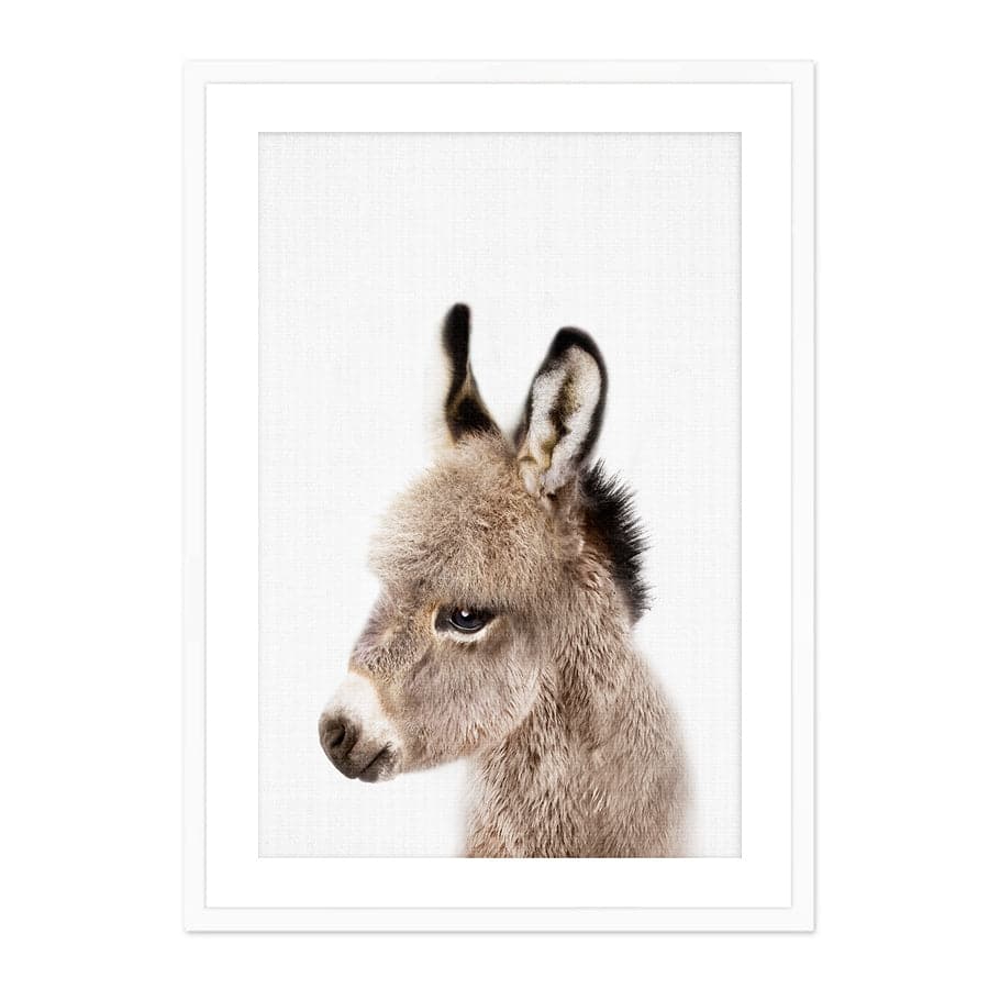 Peekaboo Donkey by Lola Peacock