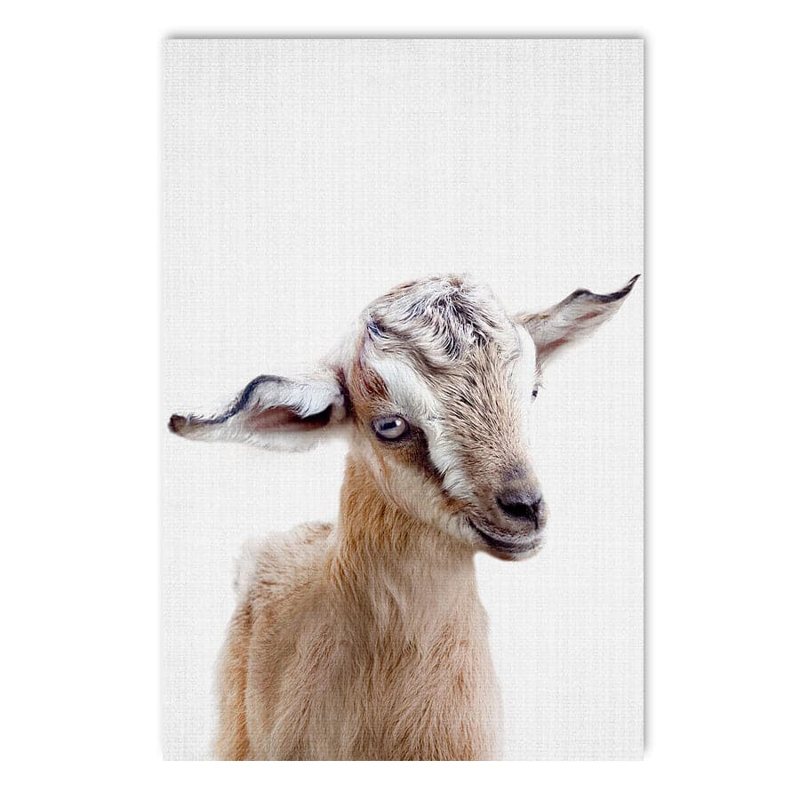 Peekaboo Goat by Lola Peacock
