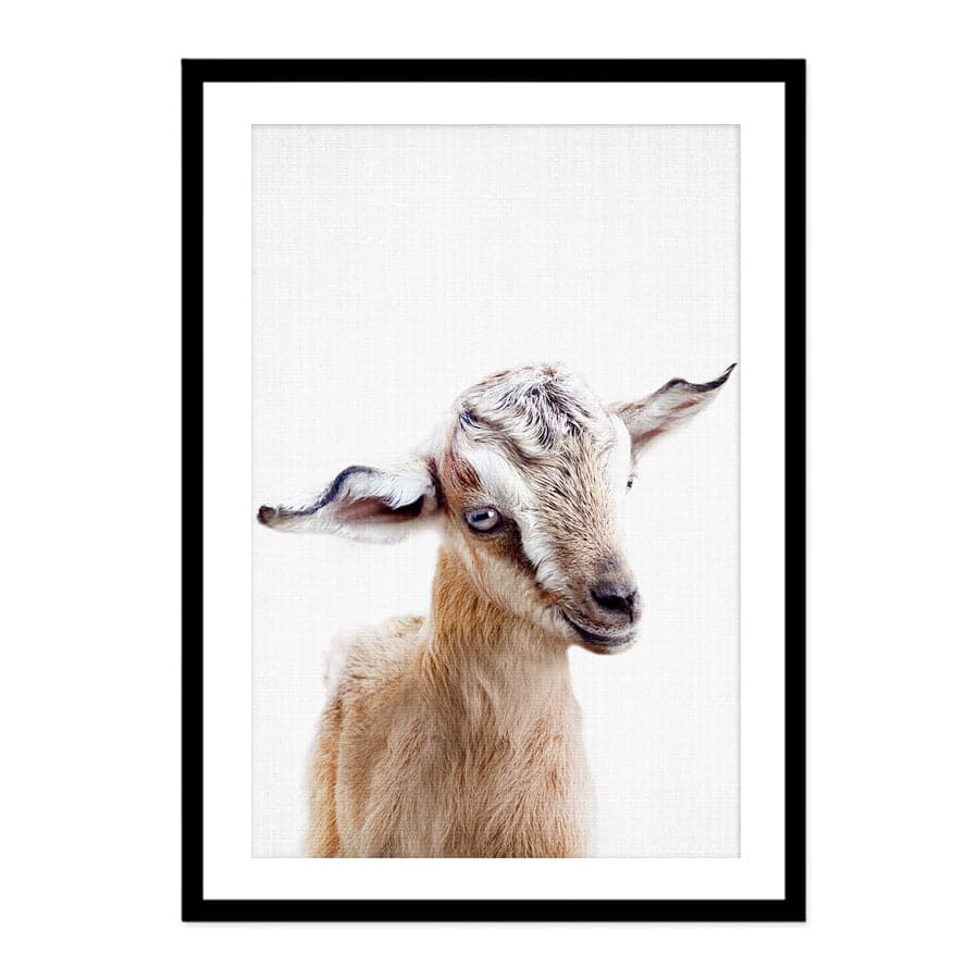 Peekaboo Goat by Lola Peacock
