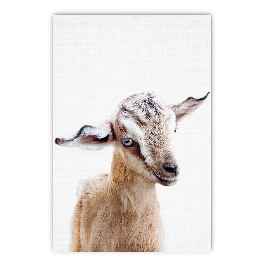 Peekaboo Goat by Lola Peacock