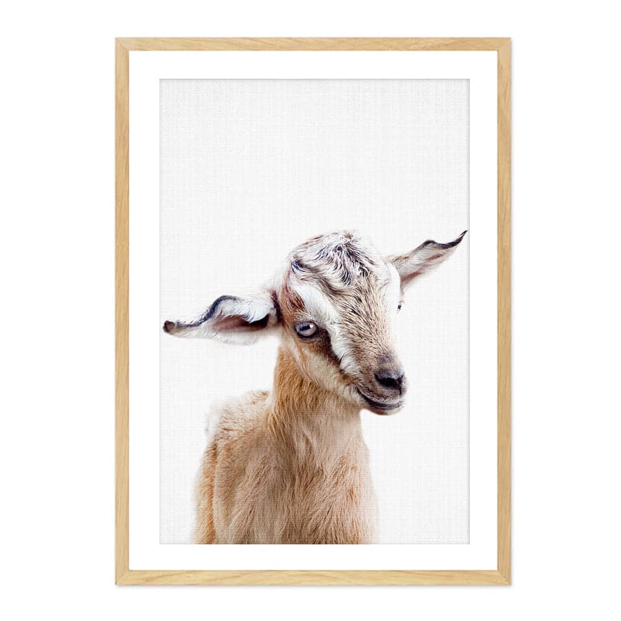 Peekaboo Goat by Lola Peacock