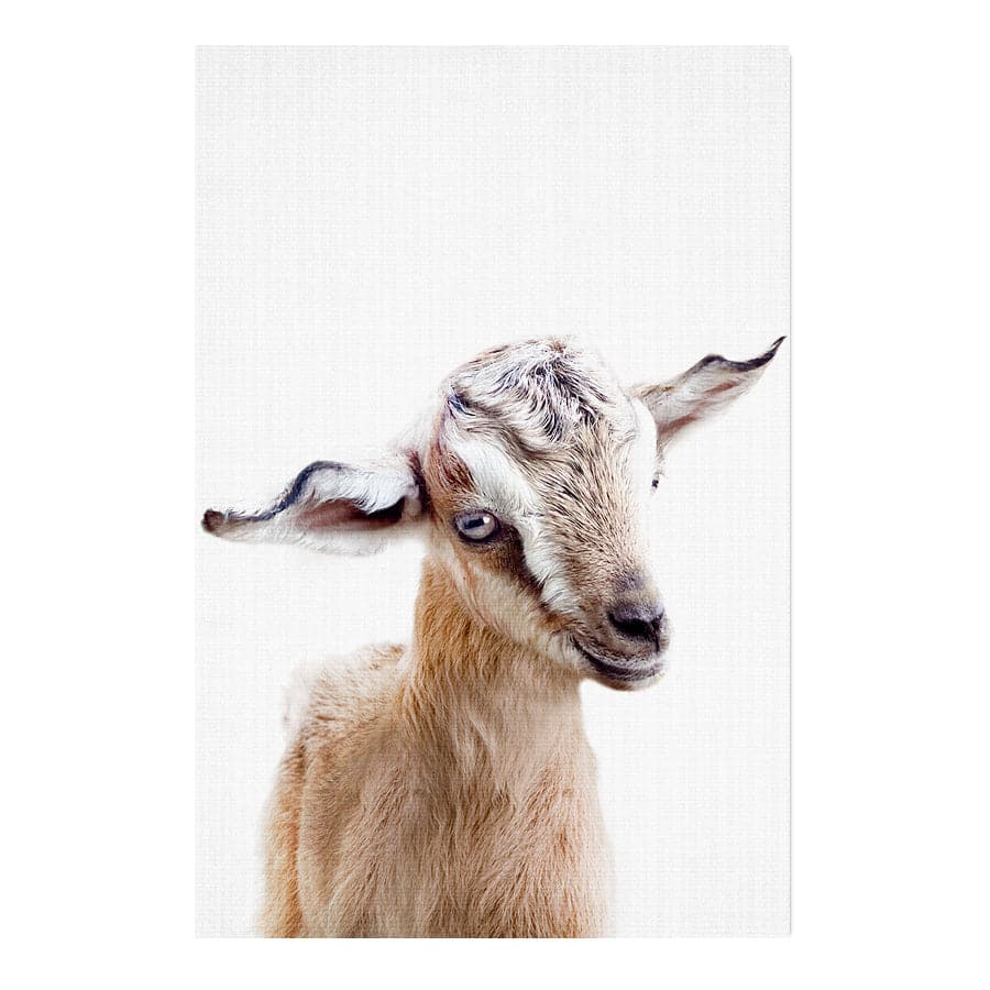 Peekaboo Goat by Lola Peacock
