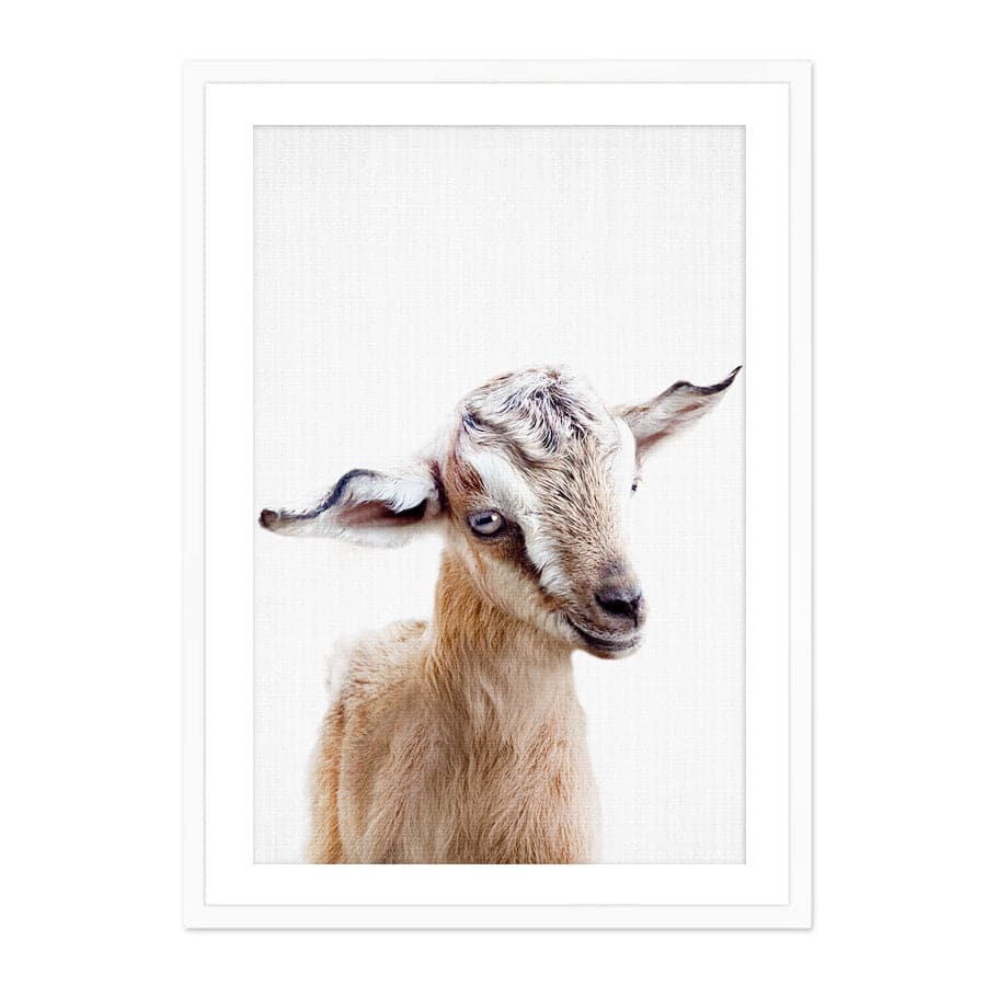 Peekaboo Goat by Lola Peacock