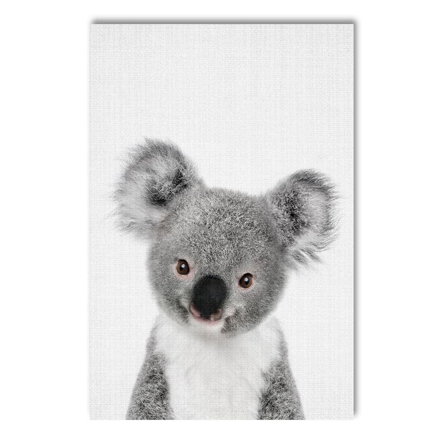 Peekaboo Koala by Lola Peacock