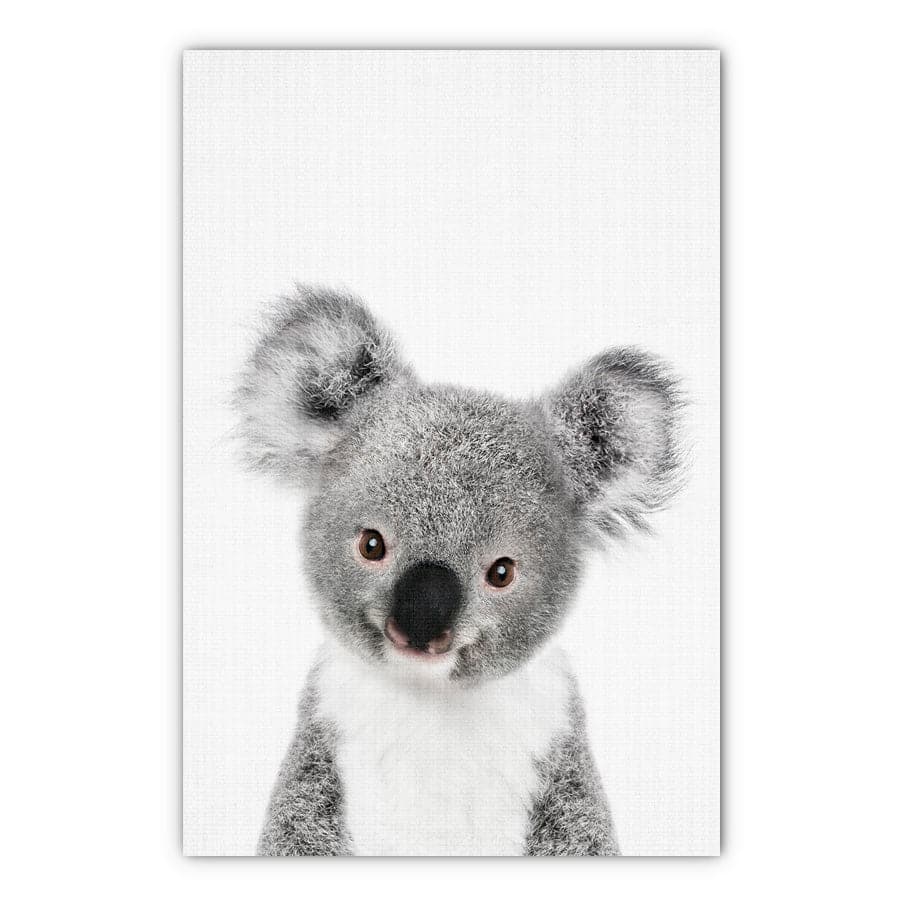 Peekaboo Koala by Lola Peacock