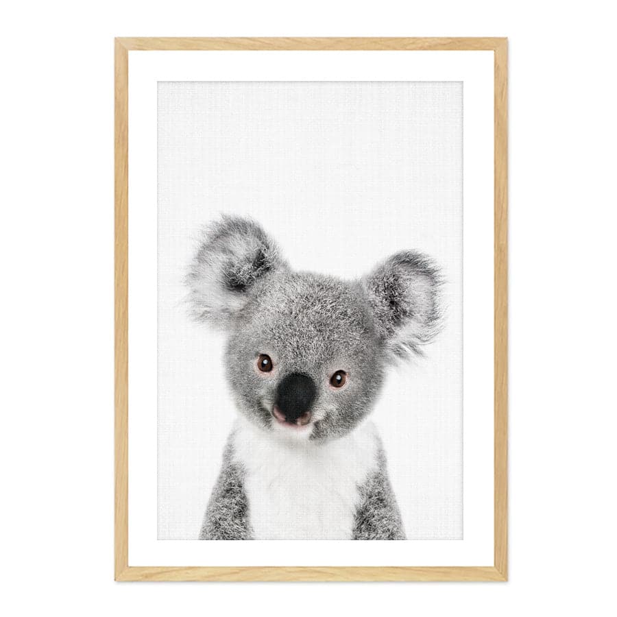 Peekaboo Koala by Lola Peacock