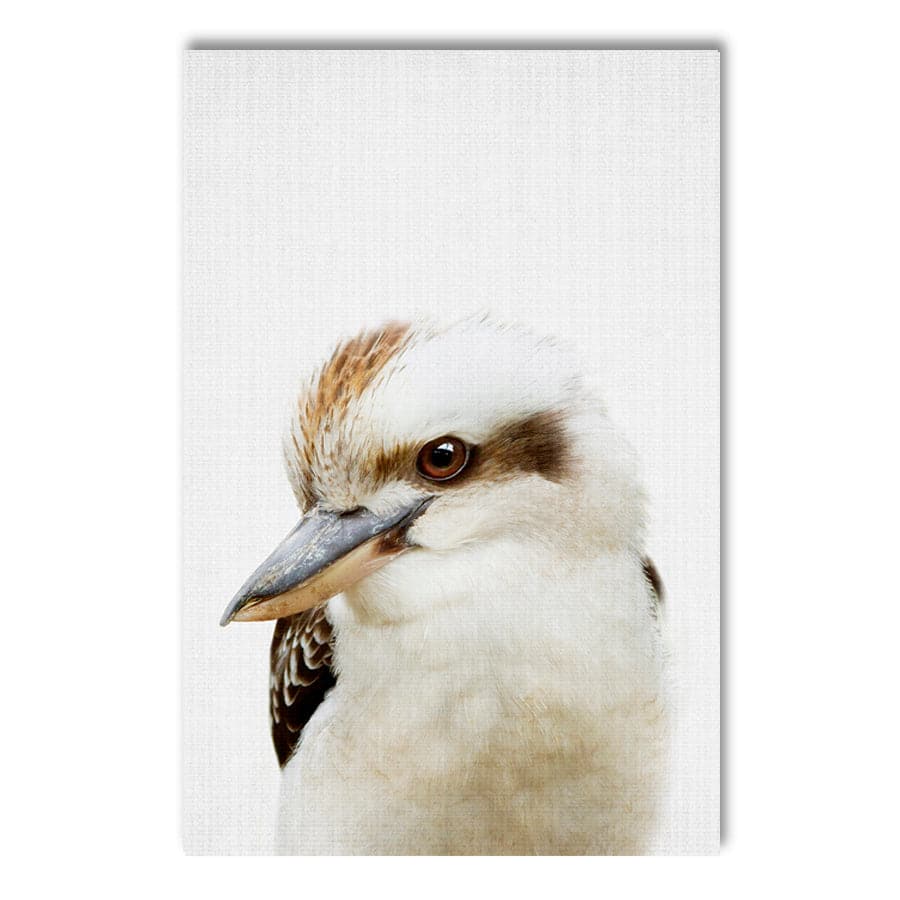 Peekaboo Kookaburra by Lola Peacock