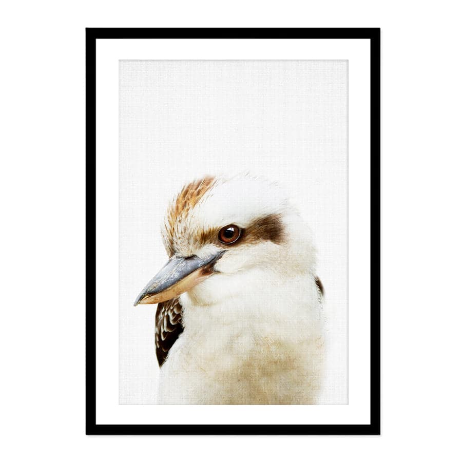 Peekaboo Kookaburra by Lola Peacock