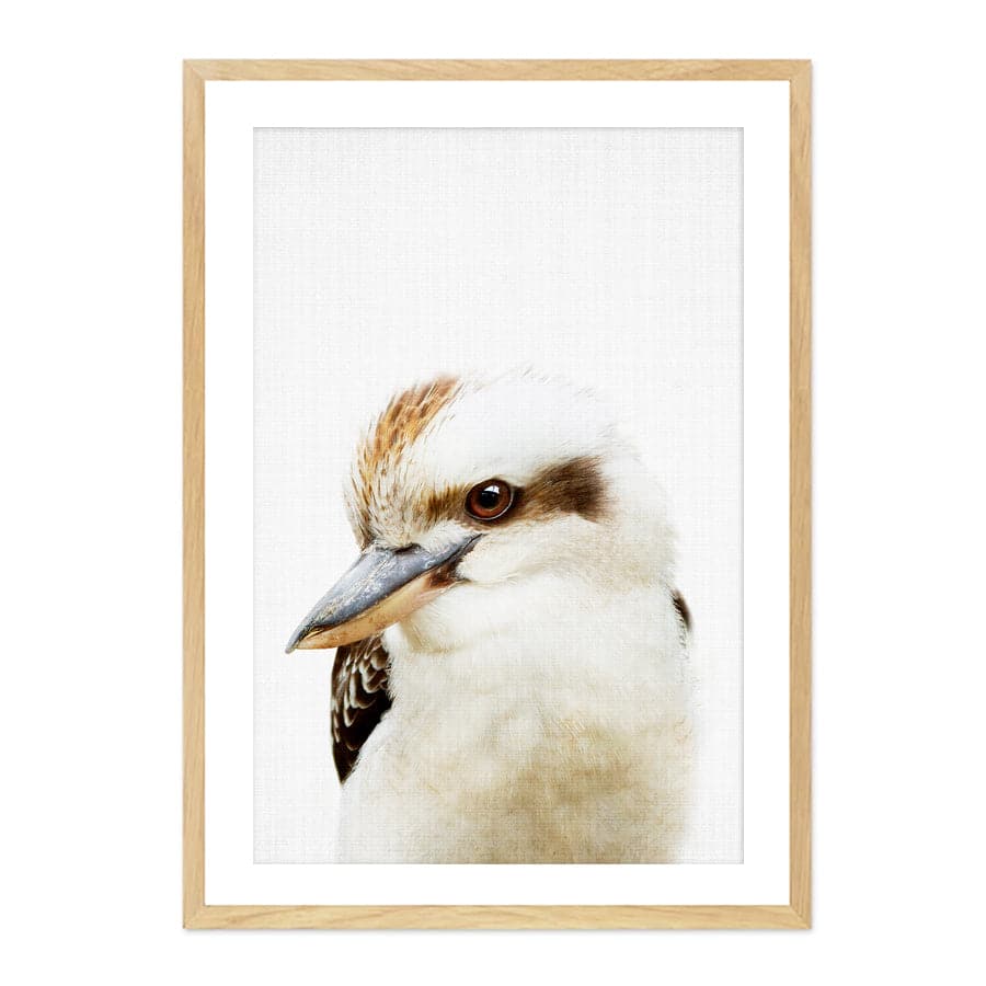 Peekaboo Kookaburra by Lola Peacock