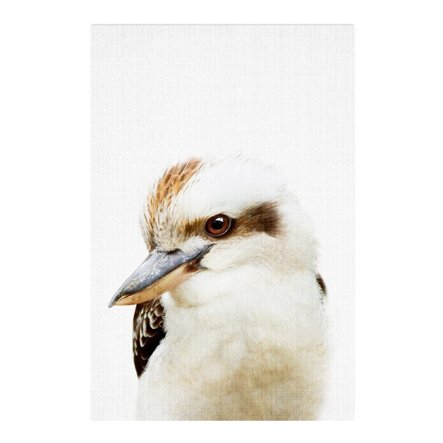 Peekaboo Kookaburra by Lola Peacock