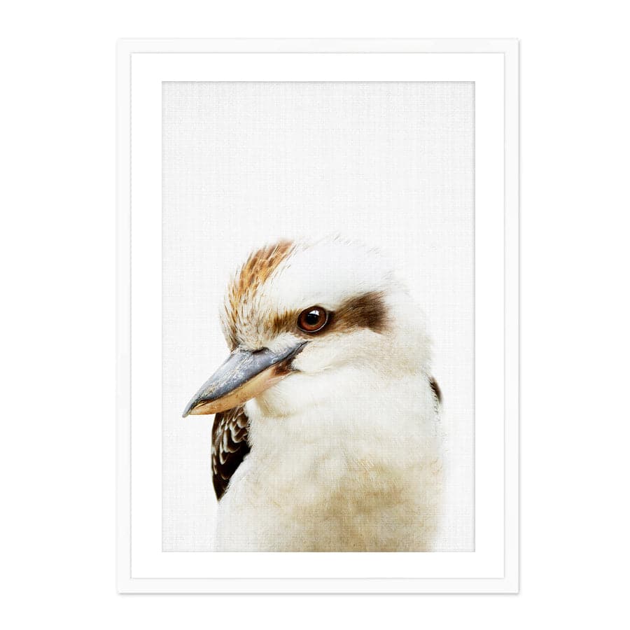 Peekaboo Kookaburra by Lola Peacock