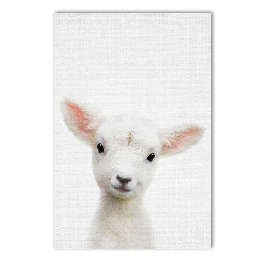 Peekaboo Lamb by Lola Peacock