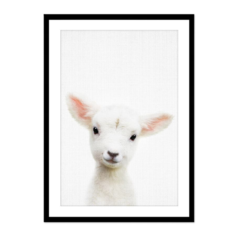 Peekaboo Lamb by Lola Peacock