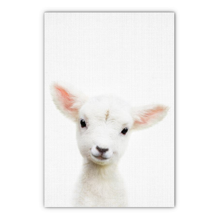 Peekaboo Lamb by Lola Peacock