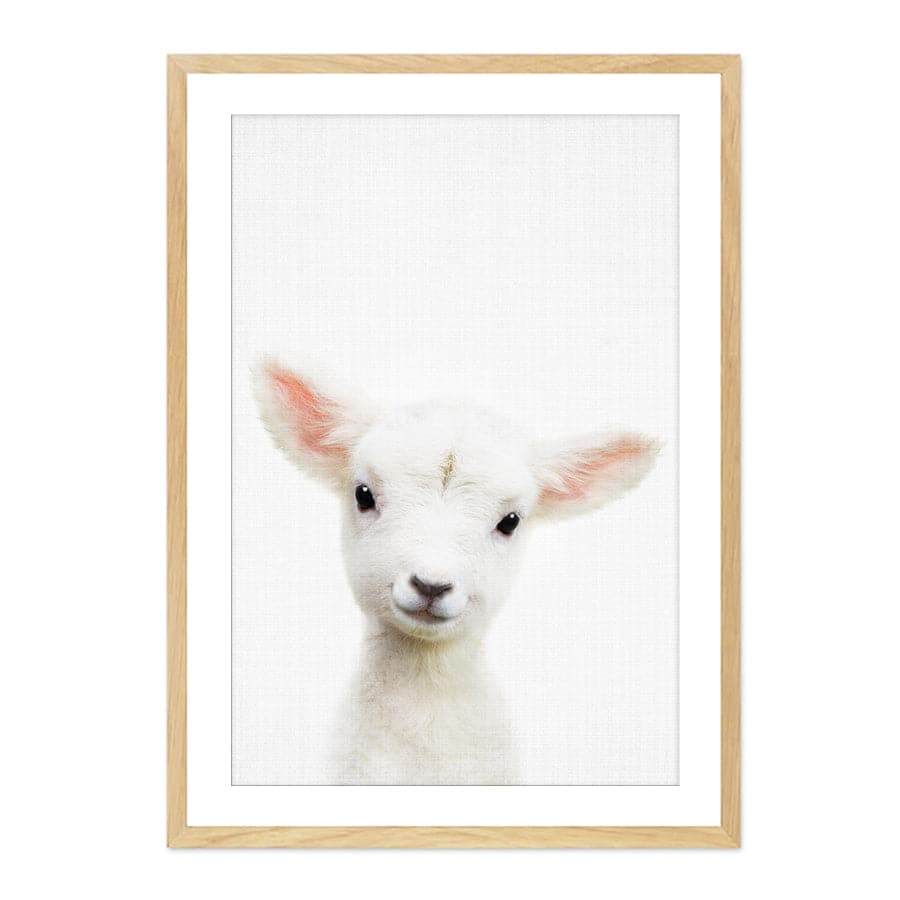 Peekaboo Lamb by Lola Peacock