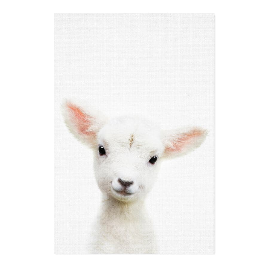 Peekaboo Lamb by Lola Peacock